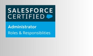 Salesforce Admin roles and responsibilities