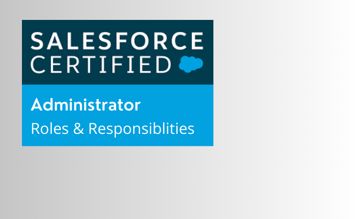 what-are-the-roles-and-responsibilities-of-a-salesforce-administrator